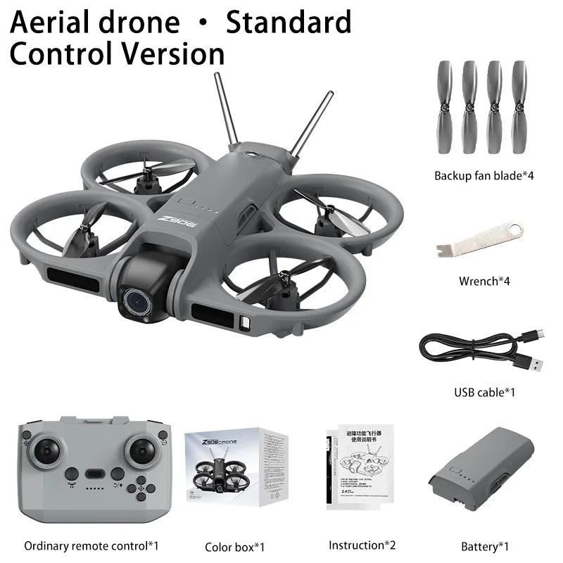 Gray Normal Color Mini FPV Camera Drone With Screen Remote & 3-Way Avoidance